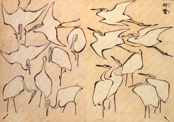 Leçons rapides simplifiées